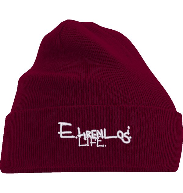 ehrenlos.life beanie | stick